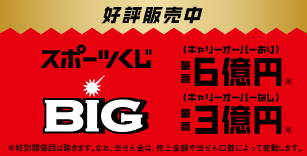 BIG|toto公式サイト-ネットでも買える高額当せんくじBIG。目指せ最高6億円!