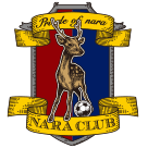 奈良クラブ team logo
